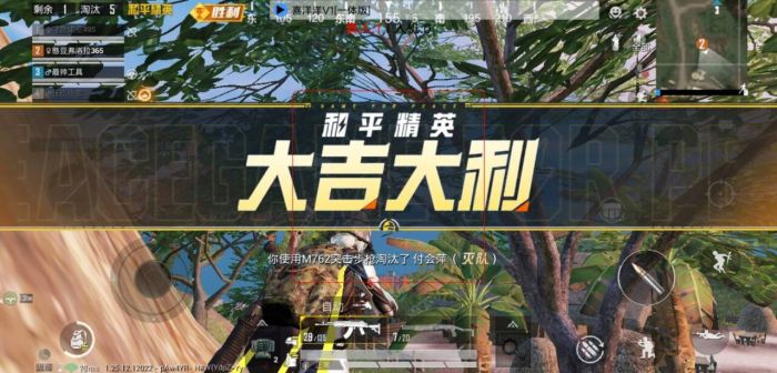 和平挂+锁头+透视+锁血 - 免费实用型战术辅助合集